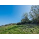 Properties for Sale_FARMHOUSE FOR SALE IN LAPEDONA IN THE MARCHE REGION,this beautiful farmhouse is to be restored in Le Marche_8